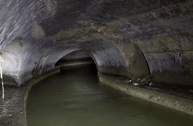 天津滨海新区通下水道运营的电话多少