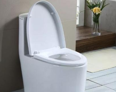 天津滨海新区马桶疏通价格